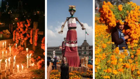 ¿Por qué se usa la flor de cempasúchil en el Día de Muertos en México?