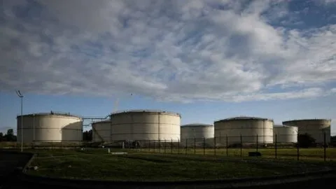G7 acuerda liberar hasta 100 millones de barriles de diésel y petróleo para contener precios