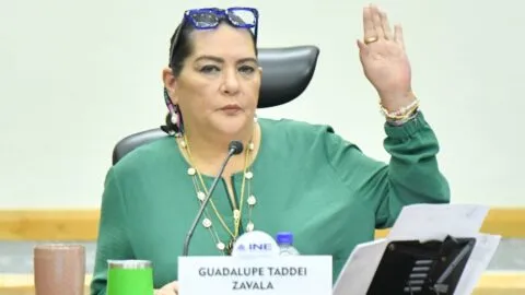 Sin petición formal de renuncia, Taddei anuncia que seguirá al frente del INE