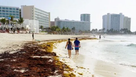 Hoteleros alertan por caída de ocupación y piden recursos para promocionar México