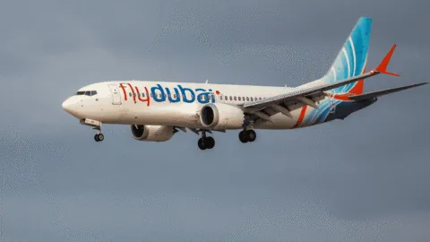 Copiloto de Flydubai intentó acto terrorista con un hacha: EAU