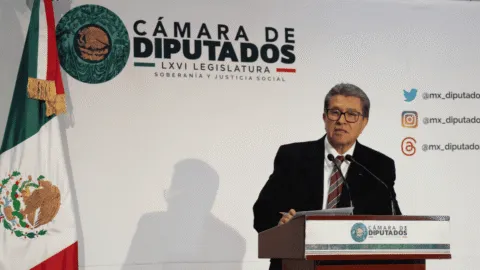 Renuncia de Guadalupe Taddei al INE activa proceso de sustitución en San Lázaro