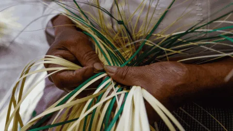 Mujeres mayas de Yucatán preservan la tradición de los sombreros de guano