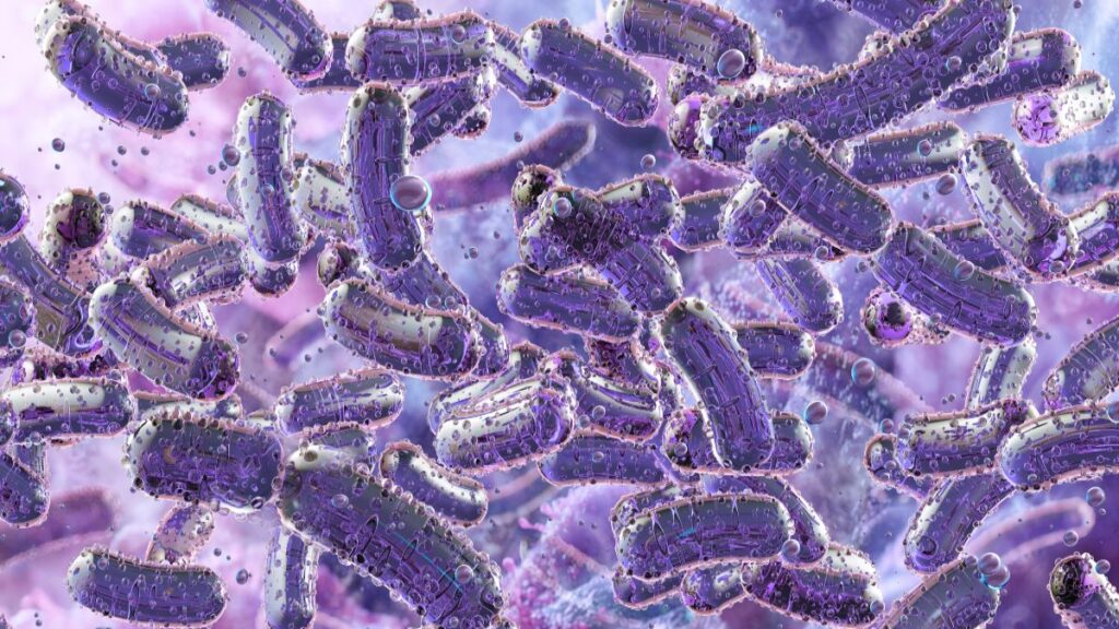 Klebsiella