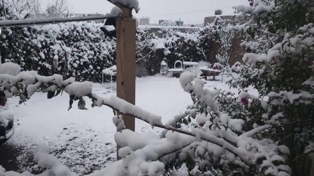Caída de nieve en Montana