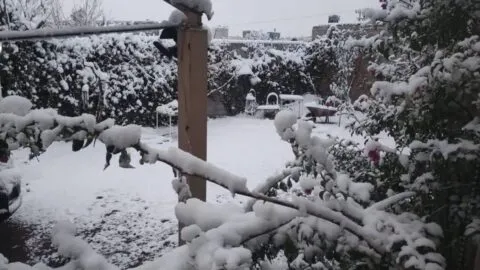 Montana se prepara para nieve, viento y helada fuerte este fin de semana