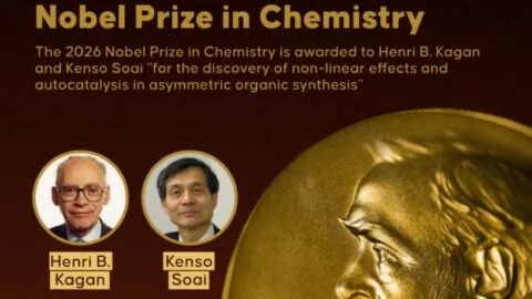 ¿Qué es la “asimetría química de la vida”, el misterio que resolvieron los ganadores del Nobel de Química?