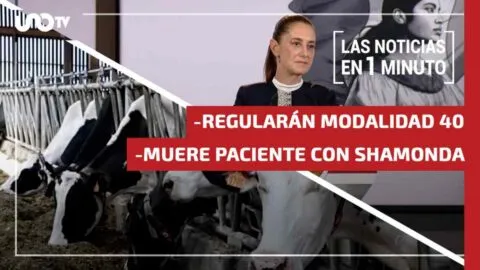 Noticias de hoy 22 de octubre de 2026, en un minuto, hasta las 19:00 horas