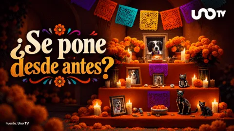 Día de Muertos 2026: ¿cuándo se pone la ofrenda para mascotas y qué debe llevar?
