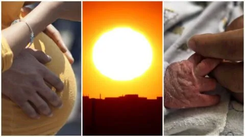 OMS alerta por calor extremo: eleva el riesgo un 26% de parto prematuro y afecta a los menores más que otros años