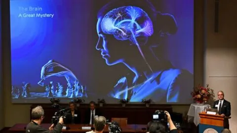 ¿Qué es la optogenética, el "interruptor" de luz que descifra los misterios del cerebro y recibió el Nobel de Medicina 2026?