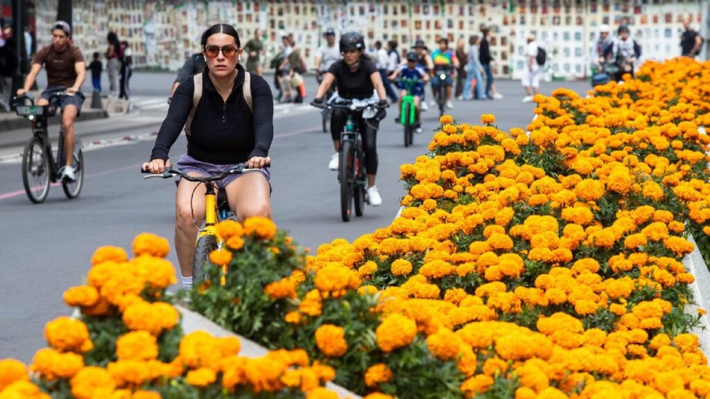 Ciclistas en el paseo dominical.