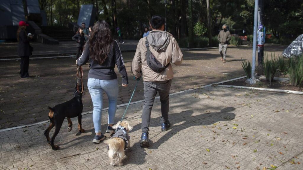 Autoridades revisan cámaras de videovigilancia para identificar a posibles responsables del envenenamiento de perros en el Parque España.
