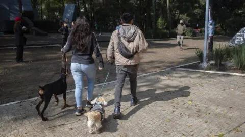 Buscan a culpables de envenenar perros en el Parque España; revisan videos de cámaras de vigilancia