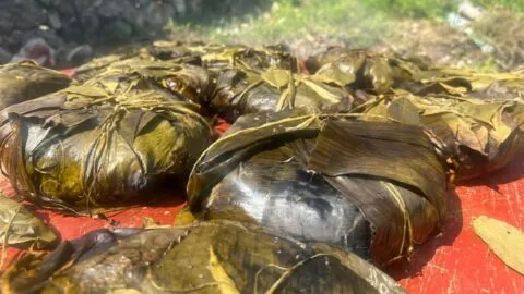 El pib: la tradición yucateca que se cocina bajo tierra
