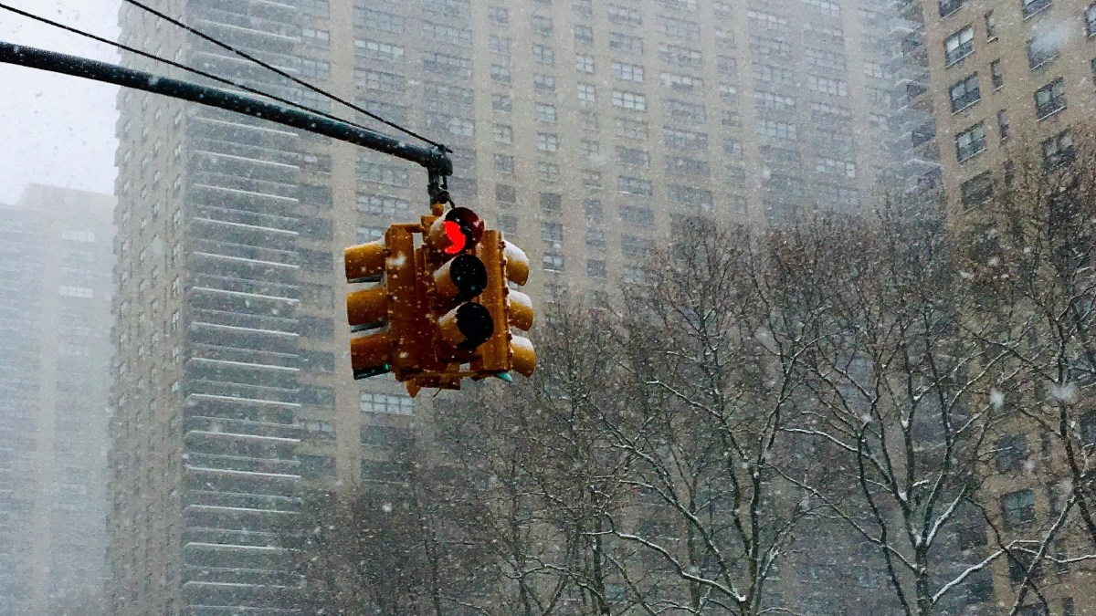 Según estimaciones de Farmers' Almanac, algunas comunidades en el estado de Nueva York podrían ver nieve desde octubre o noviembre.