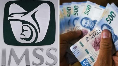 Ley 97 del IMSS: ¿cuánto recibirás de pensión mínima en noviembre de 2026? 