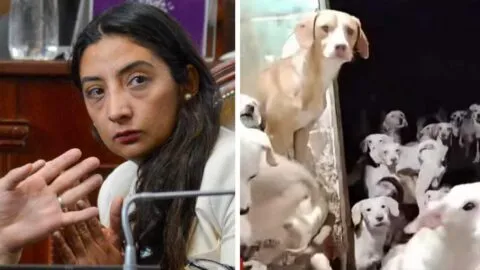 Retiran más de 50 perros hacinados en Iztapalapa; vivían entre suciedad