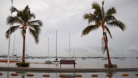 Huracán Simon: suspenden actividades no esenciales en municipios de cuatro estados a partir de las 16:00 horas