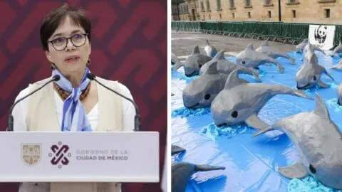 Semarnat defiende reducción de 86% en zona de protección de la vaquita marina