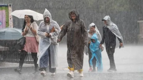 ¡Atención! Huracán Trudy y frente frío 2 provocarán cuatro días de lluvias intensas en México
