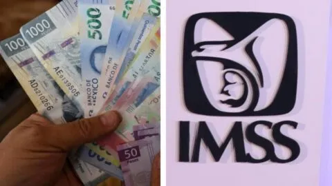 ¿Cuánto te toca de pensión del IMSS? Así cambia el pago según tu edad