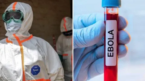EE. UU. emite alerta de viaje a Nigeria por caso de ébola