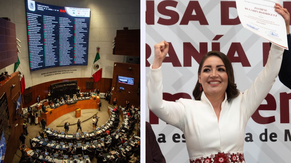 Nacionalidad única para candidatos: ¿en qué proceso va la reforma y en qué elecciones se aplicará?
