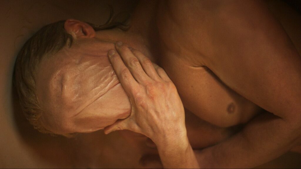 reseña Clay Face