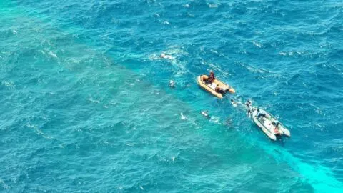 Guardia Costera de EE. UU. rescata a 16, entre ellos 2 mexicanos, tras naufragio frente a Ensenada; buscan 11 desaparecidos