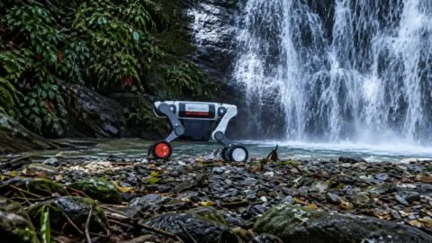 Perro robot chino localiza “plantas fantasma” y ayuda a investigar especies raras