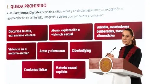 Plataformas digitales deberán bajar contenido de odio y violencia contra menores
