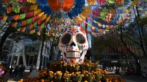 Día de Muertos 2026: ¿cuándo y dónde será el show de drones en el Bosque de Chapultepec?