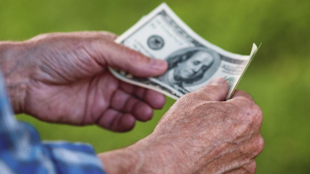 Los abuelos que trabajan y crían a sus nietos podrían recibir un reembolso del IRS mediante el Crédito Tributario por Ingreso del Trabajo (EITC)