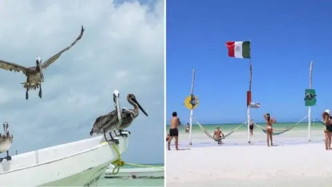 Tendencias de viaje 2027: así viajaremos y cuáles son los 10 destinos que recomienda Expedia