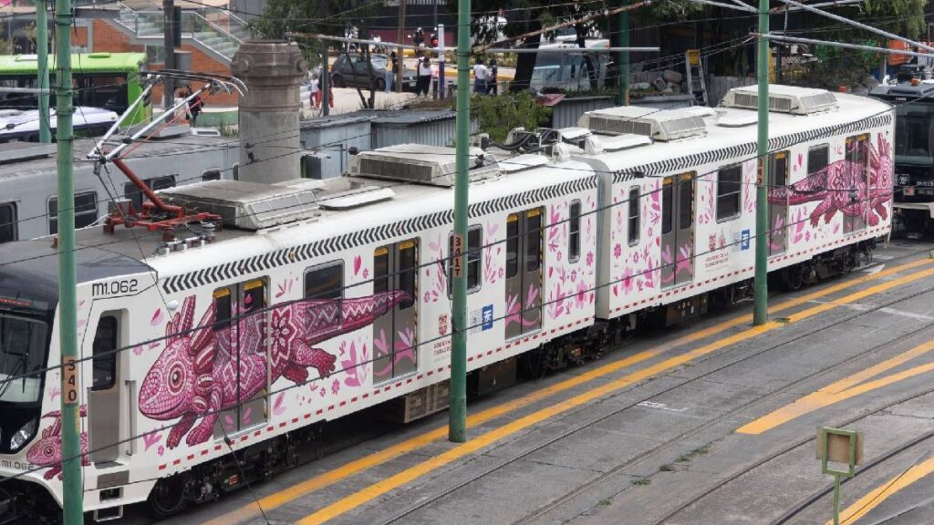 tren-ligero-sin-servicio-se-detiene-por-desprendimiento-de-cable-en-el-vergel