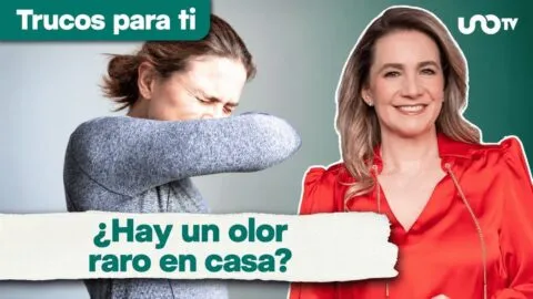 Trucos para Ti con Maggie Hegyi: 5 lugares de tu casa que pueden acumular malos olores