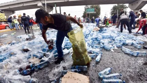 Veracruz endurece Código Penal: tipifica rapiña y cohabitación forzada; envenenamiento animal será agravante de maltrato