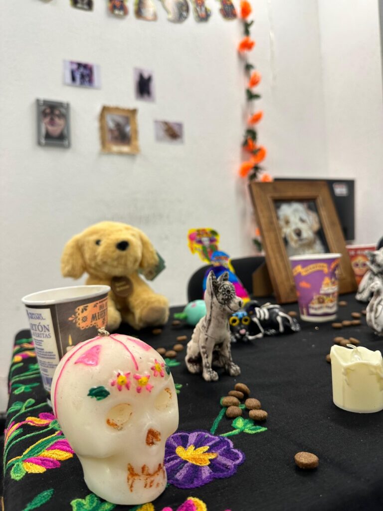 ofrenda mascota